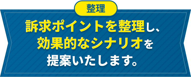訴求ポイントを整理し、効果的なシナリオを提案いたします。